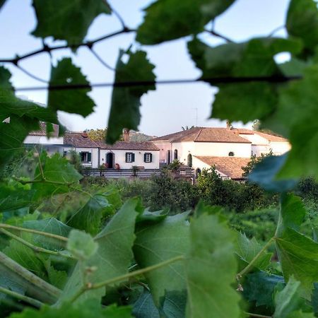 Casa Vacanze Etna Piedimonte Etneo Bagian luar foto