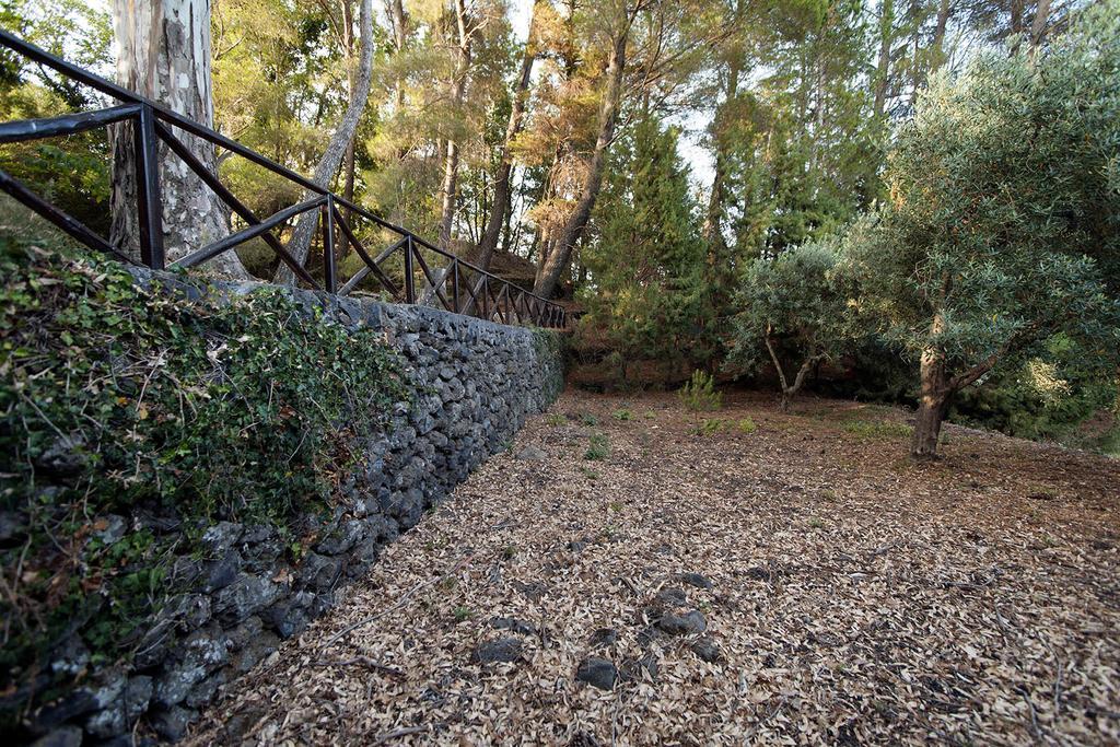 Casa Vacanze Etna Piedimonte Etneo Bagian luar foto
