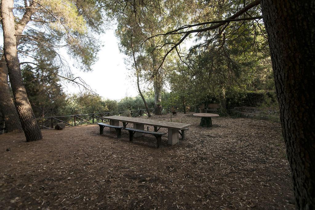 Casa Vacanze Etna Piedimonte Etneo Bagian luar foto