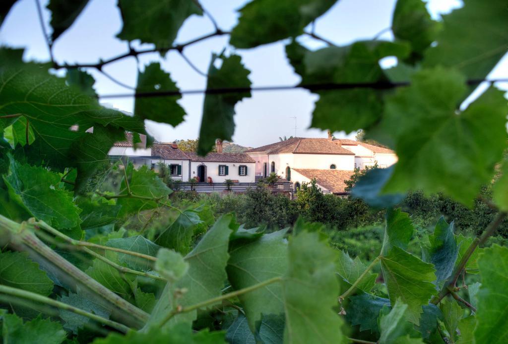 Casa Vacanze Etna Piedimonte Etneo Bagian luar foto