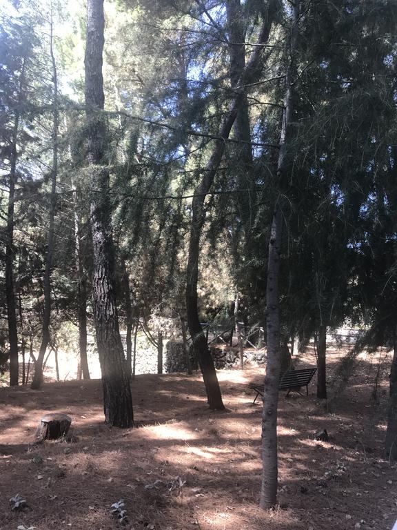 Casa Vacanze Etna Piedimonte Etneo Bagian luar foto
