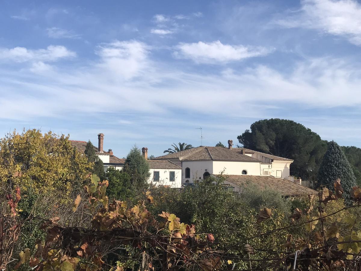 Casa Vacanze Etna Piedimonte Etneo Bagian luar foto
