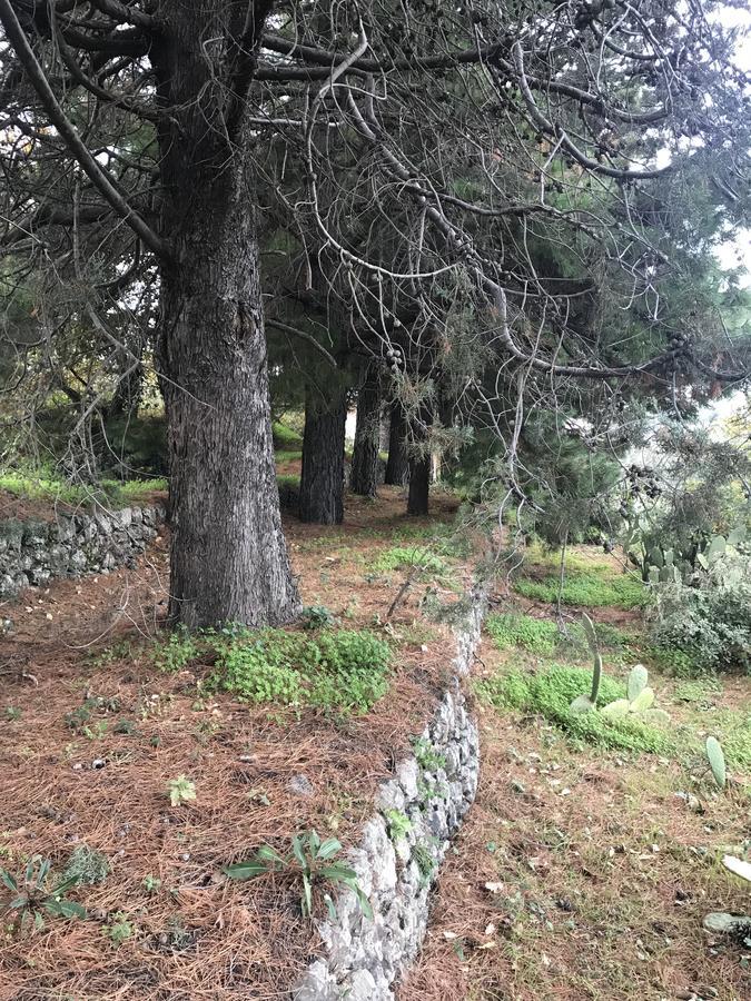 Casa Vacanze Etna Piedimonte Etneo Bagian luar foto